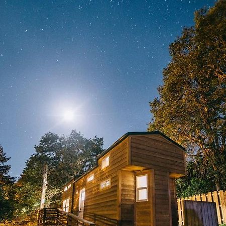 Umpqua'S Last Resort - Wilderness Cabins, Rv Park & Glamping Idleyld Park Eksteriør bilde