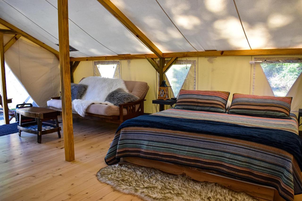 Umpqua'S Last Resort - Wilderness Cabins, Rv Park & Glamping Idleyld Park Eksteriør bilde