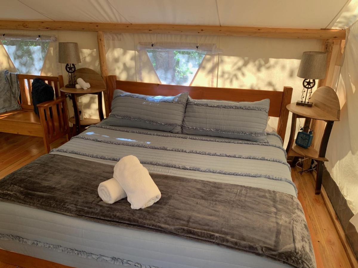 Umpqua'S Last Resort - Wilderness Cabins, Rv Park & Glamping Idleyld Park Eksteriør bilde